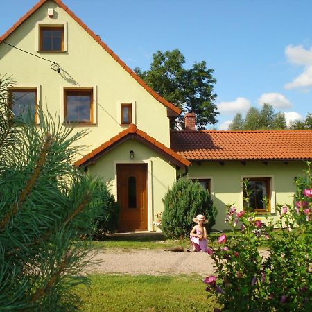 Agroturystyka Tam Gdzie Sosny Ścinawka Dolna Kültér fotó