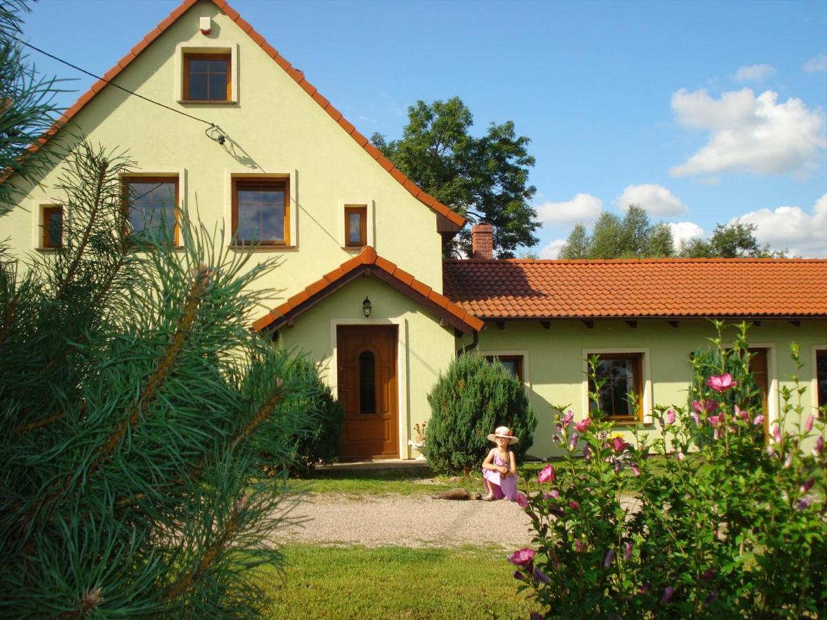 Agroturystyka Tam Gdzie Sosny Ścinawka Dolna Kültér fotó