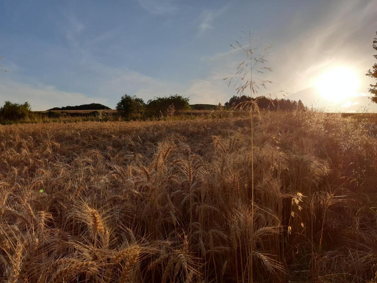 Agroturystyka Tam Gdzie Sosny Ścinawka Dolna Kültér fotó