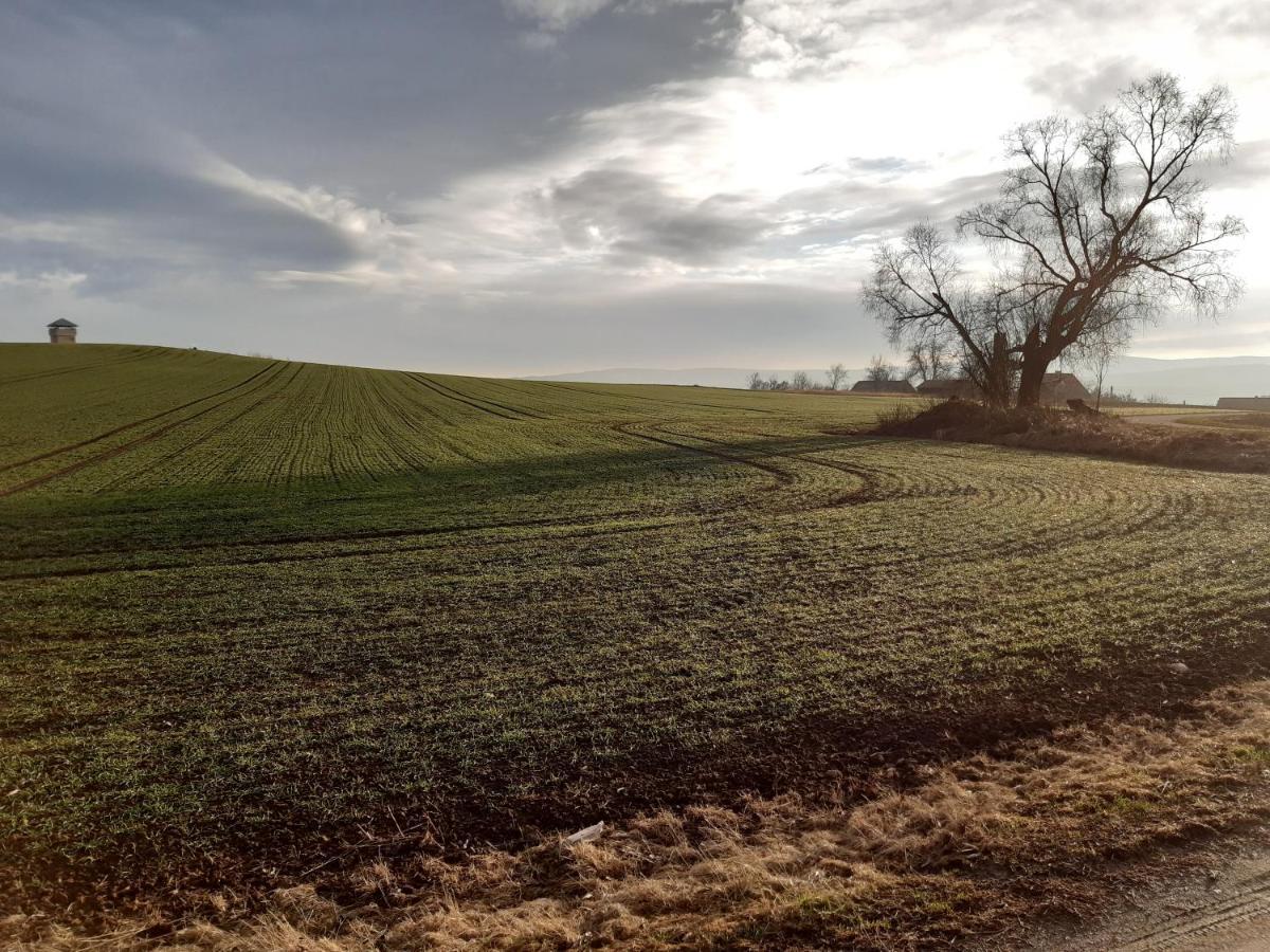 Agroturystyka Tam Gdzie Sosny Ścinawka Dolna Kültér fotó