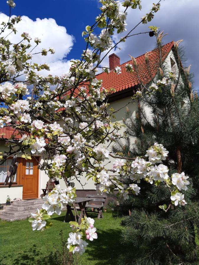 Agroturystyka Tam Gdzie Sosny Ścinawka Dolna Kültér fotó