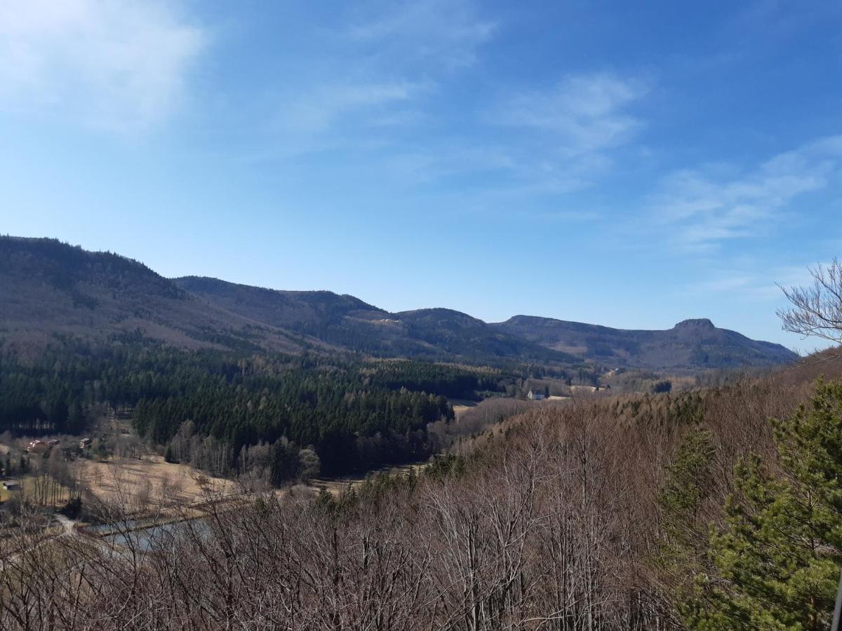 Agroturystyka Tam Gdzie Sosny Ścinawka Dolna Kültér fotó